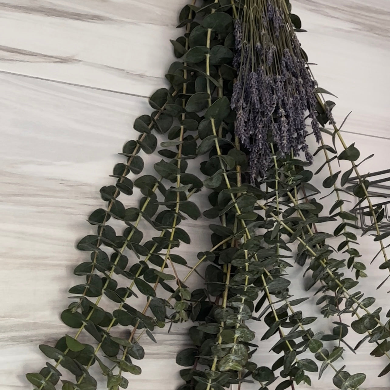 Eucalyptus & Lavender Mixed Bundle